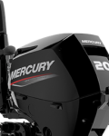 FOURSTROKE 20 EFI - 333 cc.