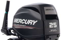 FOURSTROKE 25 EFI JET - 333 cc.